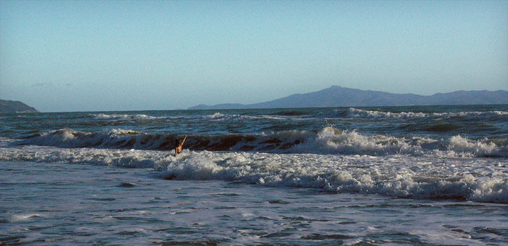 Parco Regionale della Maremma