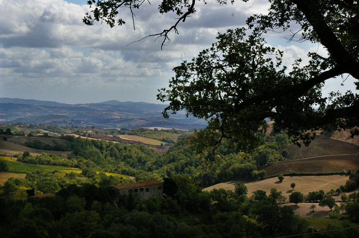 Landgut Podere Carbone